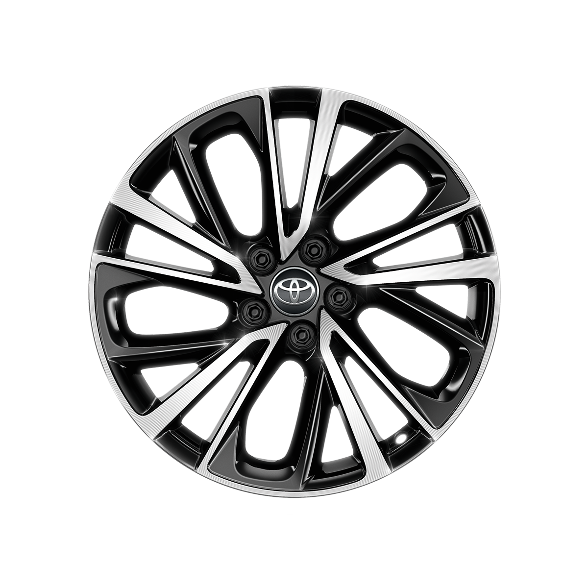 Jantes en alliage 19" noir (5 doubles branches)